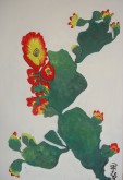 Fotos Pinturas 2